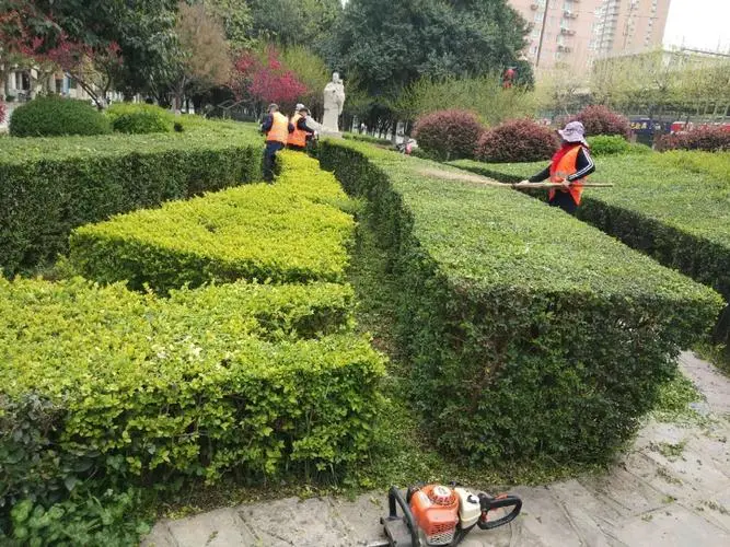 大型园林景观设计收费
